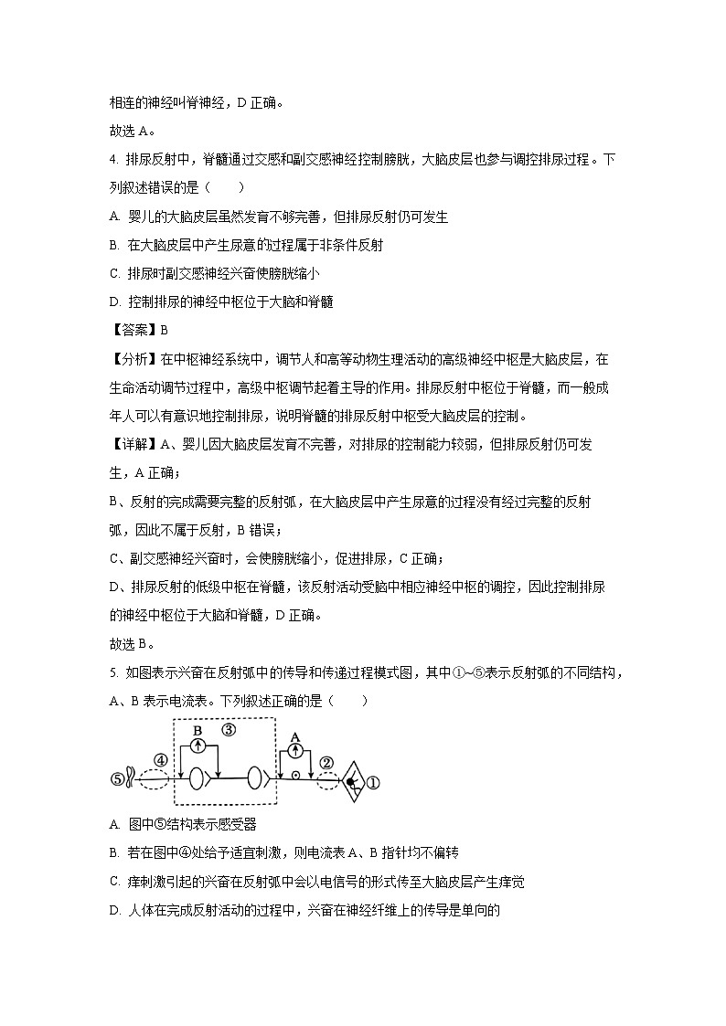 河北省邯郸市2024-2025学年高二上学期1月期末考试生物试卷（解析版）第3页