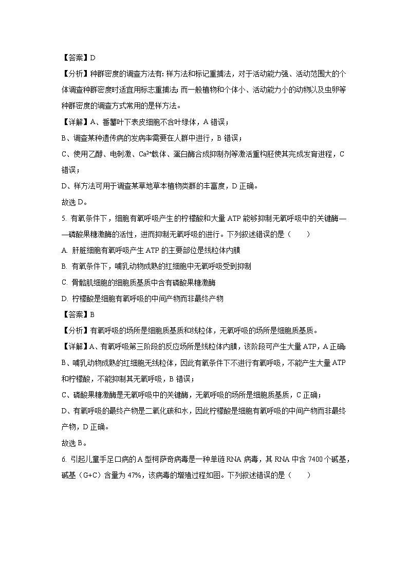 河北省邯郸市2024-2025学年高三年级上学期第二次调研检测生物试卷（解析版）第3页