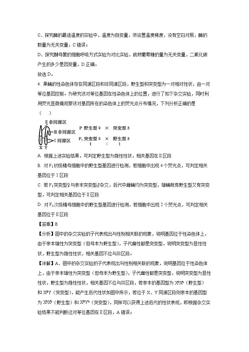 河北省邢台市2024-2025学年高三下学期3月联考生物试卷（解析版）第3页