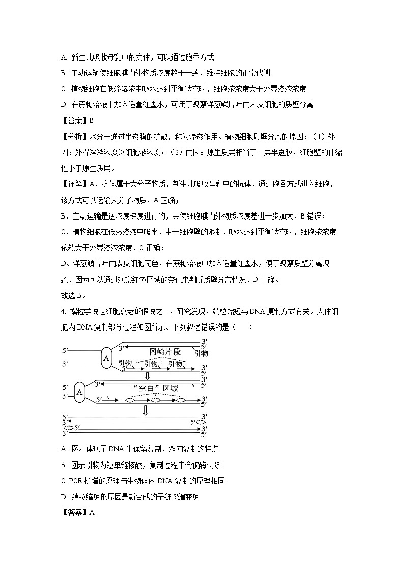 2025届山东省济宁市高三下学期3月一模考试生物试卷（解析版）第3页
