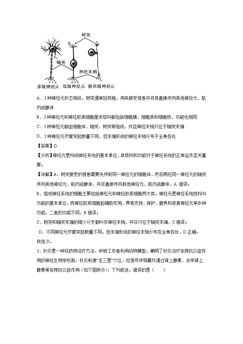2024-2025学年高二生物下学期开学摸底考（江苏专用）生物试卷（解析版）第2页