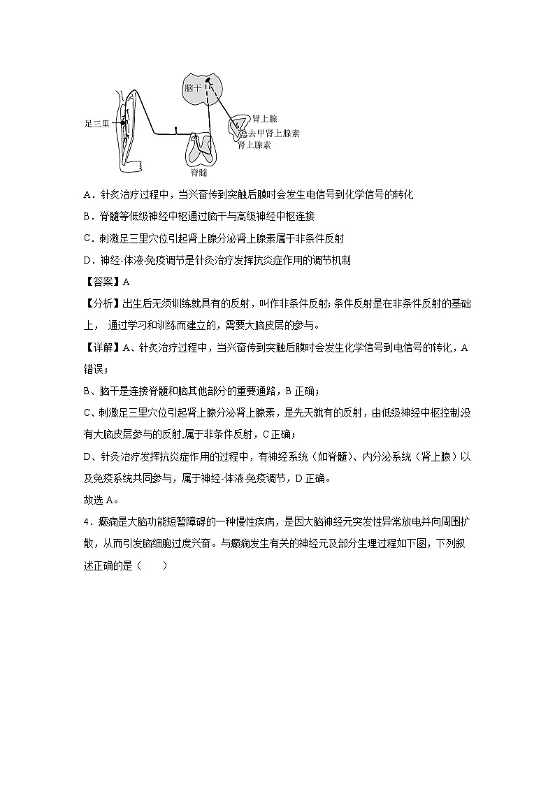 2024-2025学年高二生物下学期开学摸底考（江苏专用）生物试卷（解析版）第3页