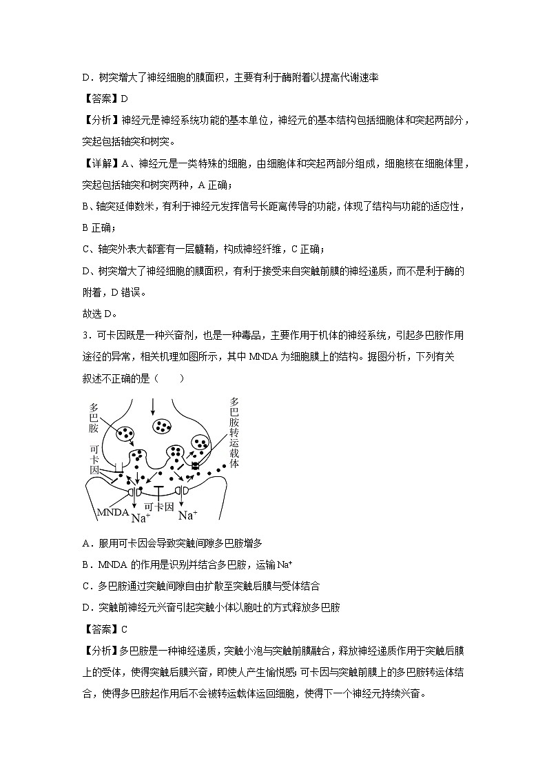 2024-2025学年高二生物上学期期末通关卷（江苏专用）生物试卷（解析版）第2页