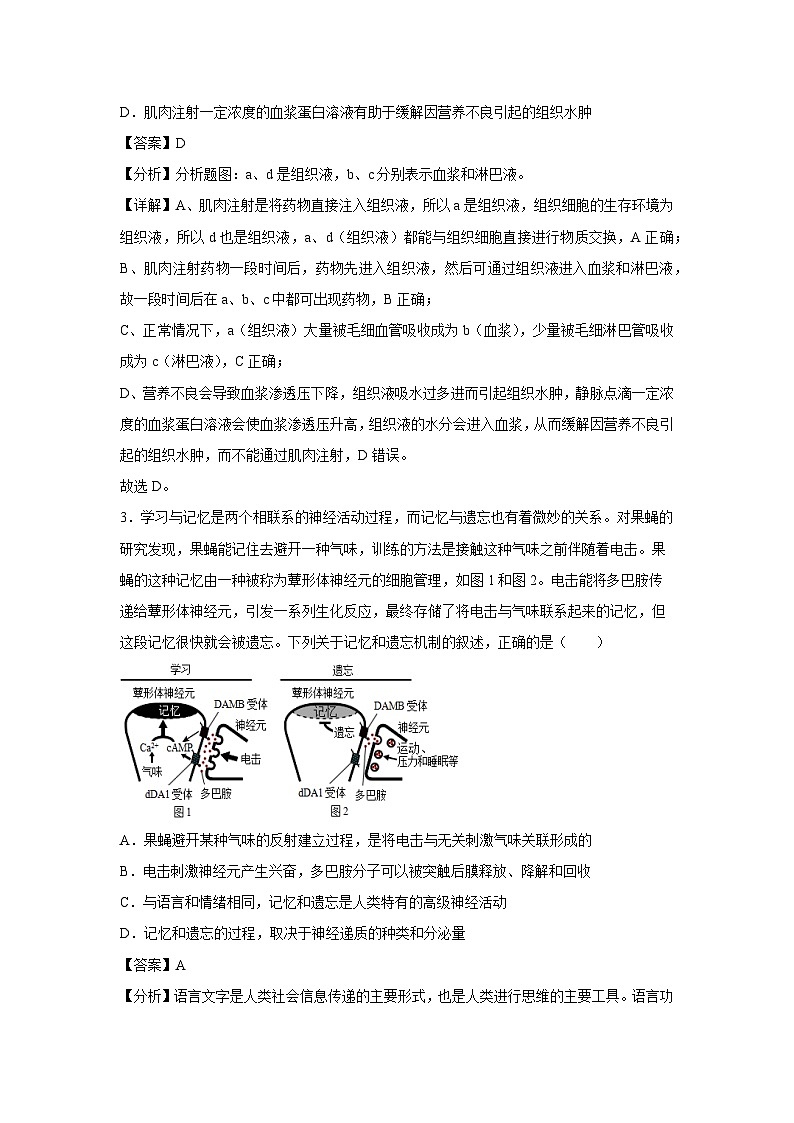 2024-2025学年高二生物上学期期末通关卷（广东专用）生物试卷（解析版）第2页