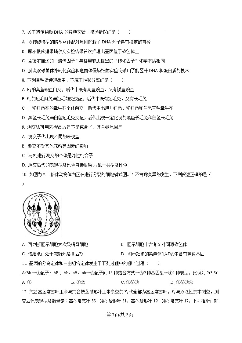 四川省资中县第二中学2024—2025学年高一下学期4月阶段考试生物试题（原卷版）第2页