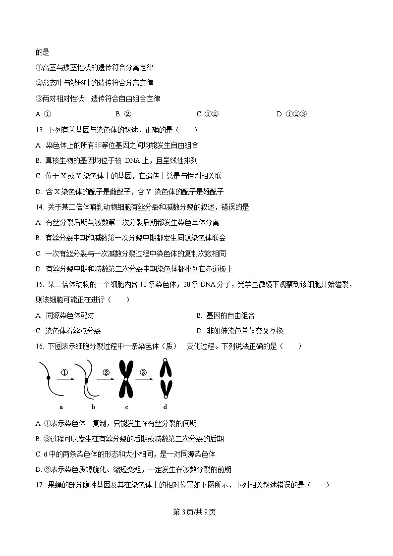 四川省资中县第二中学2024—2025学年高一下学期4月阶段考试生物试题（原卷版）第3页