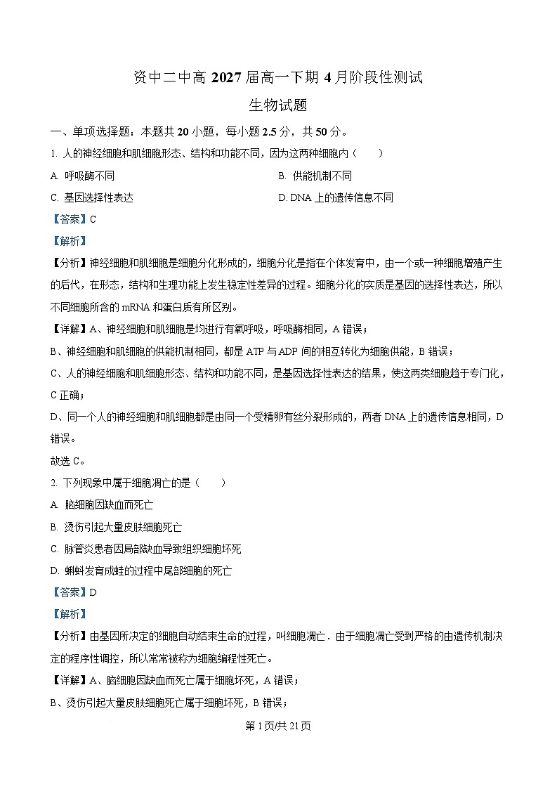 四川省资中县第二中学2024—2025学年高一下学期4月阶段考试生物试题 Word版含解析第1页