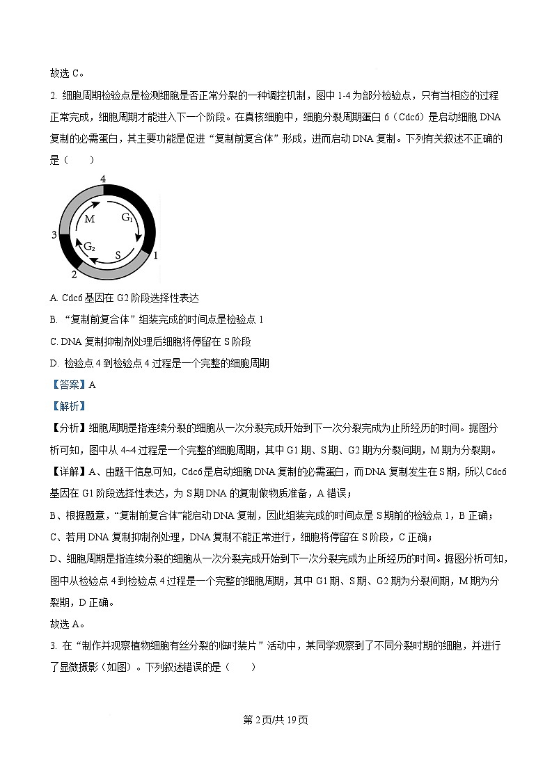 四川省自贡市蜀光中学2024-2025学年高一下学期3月月考生物试题 Word版含解析第2页