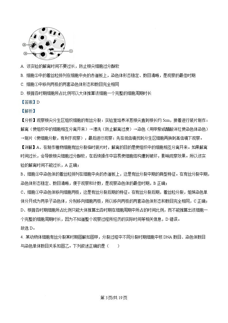 四川省自贡市蜀光中学2024-2025学年高一下学期3月月考生物试题 Word版含解析第3页