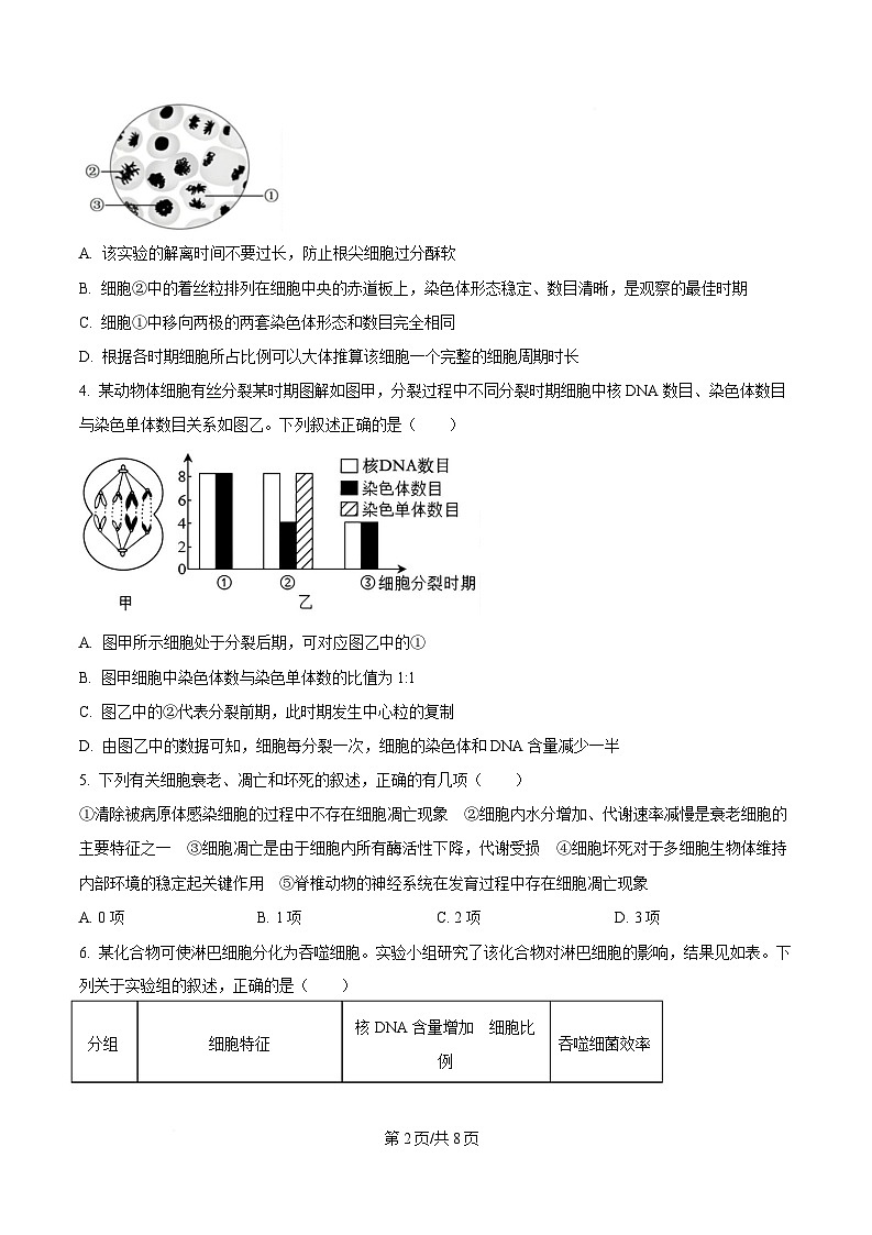 四川省自贡市蜀光中学2024-2025学年高一下学期3月月考生物试题（原卷版）第2页