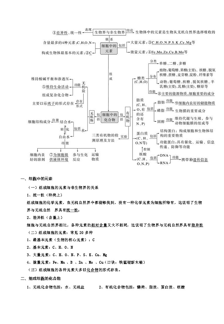 备战2025年高考生物抢押秘籍（山东专用）高中生物考点必背知识点汇总练习第2页