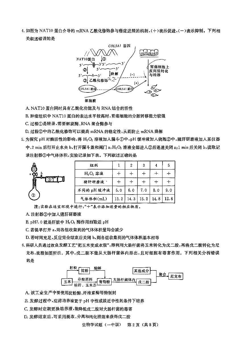 2025届湖南省长沙市第一中学高三下学期高考模拟（一）生物试题（含答案）第2页