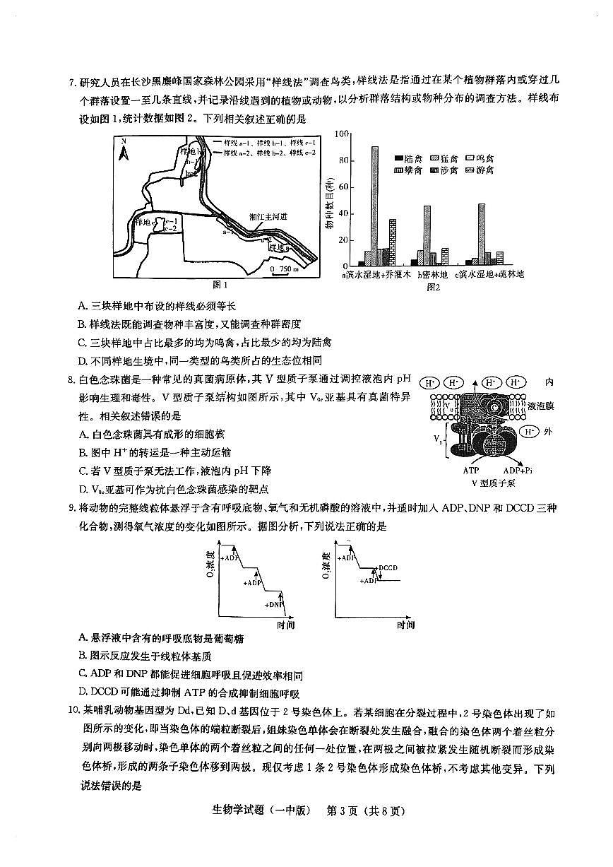 2025届湖南省长沙市第一中学高三下学期高考模拟（一）生物试题（含答案）第3页