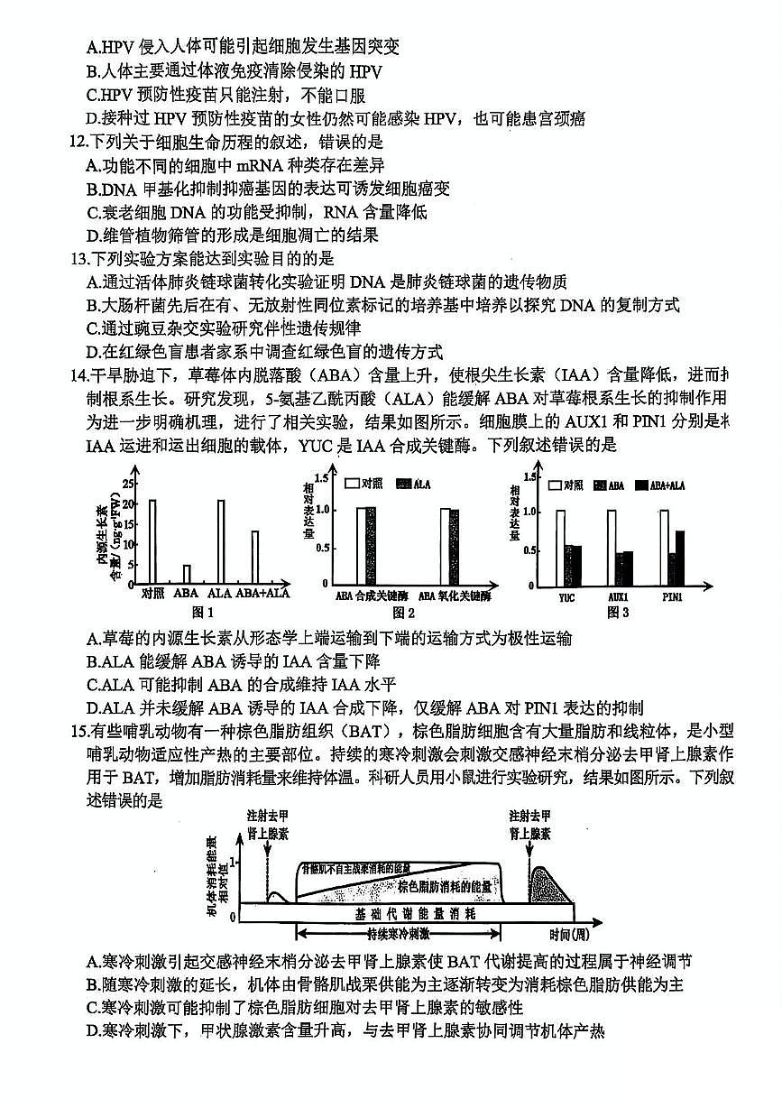 浙江省稽阳联谊学校2025届高三下学期4月联考-生物试题+答案第3页