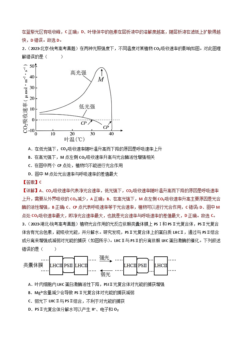 十年高考真题（2014-2023）分项汇编 生物 专题06 光合作用 含解析第2页