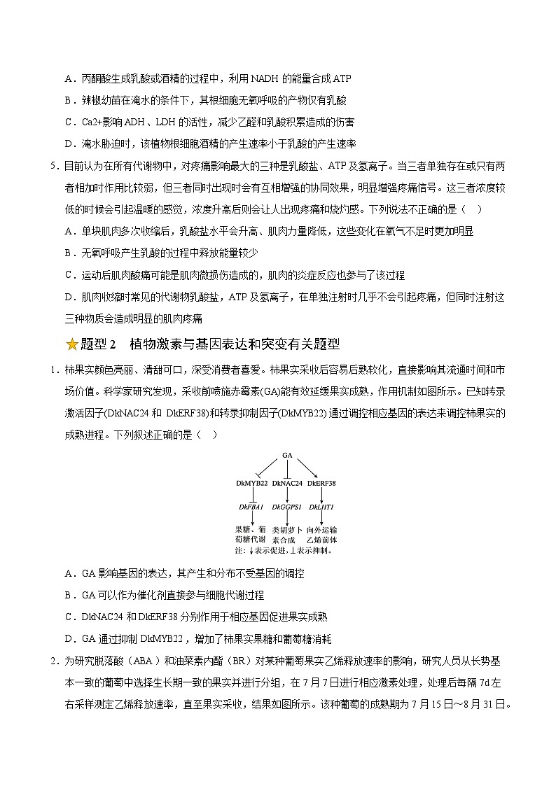 备战2025年高考生物抢押秘籍（山东专用）押题03细胞呼吸和光合作用、植物激素部分综合（学生版）第3页
