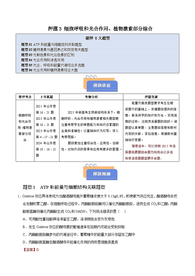 备战2025年高考生物抢押秘籍（山东专用）押题03细胞呼吸和光合作用、植物激素部分综合（教师版）第1页