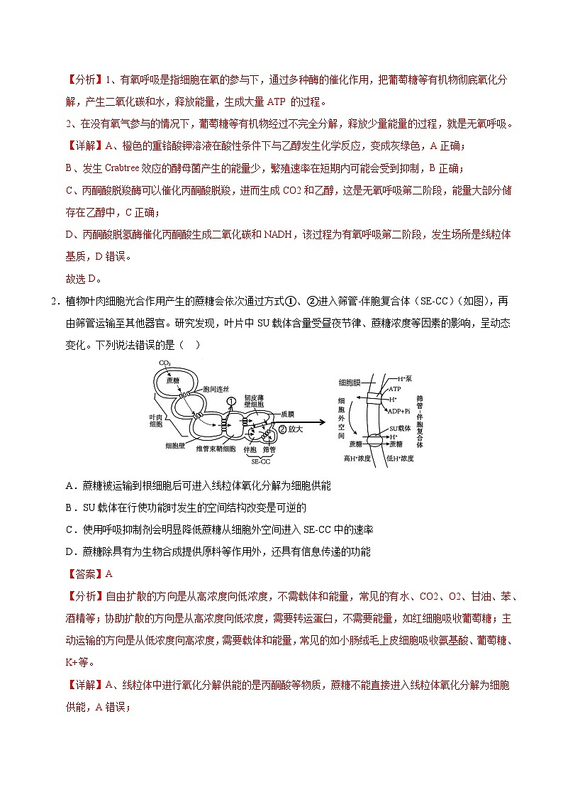 备战2025年高考生物抢押秘籍（山东专用）押题03细胞呼吸和光合作用、植物激素部分综合（教师版）第2页