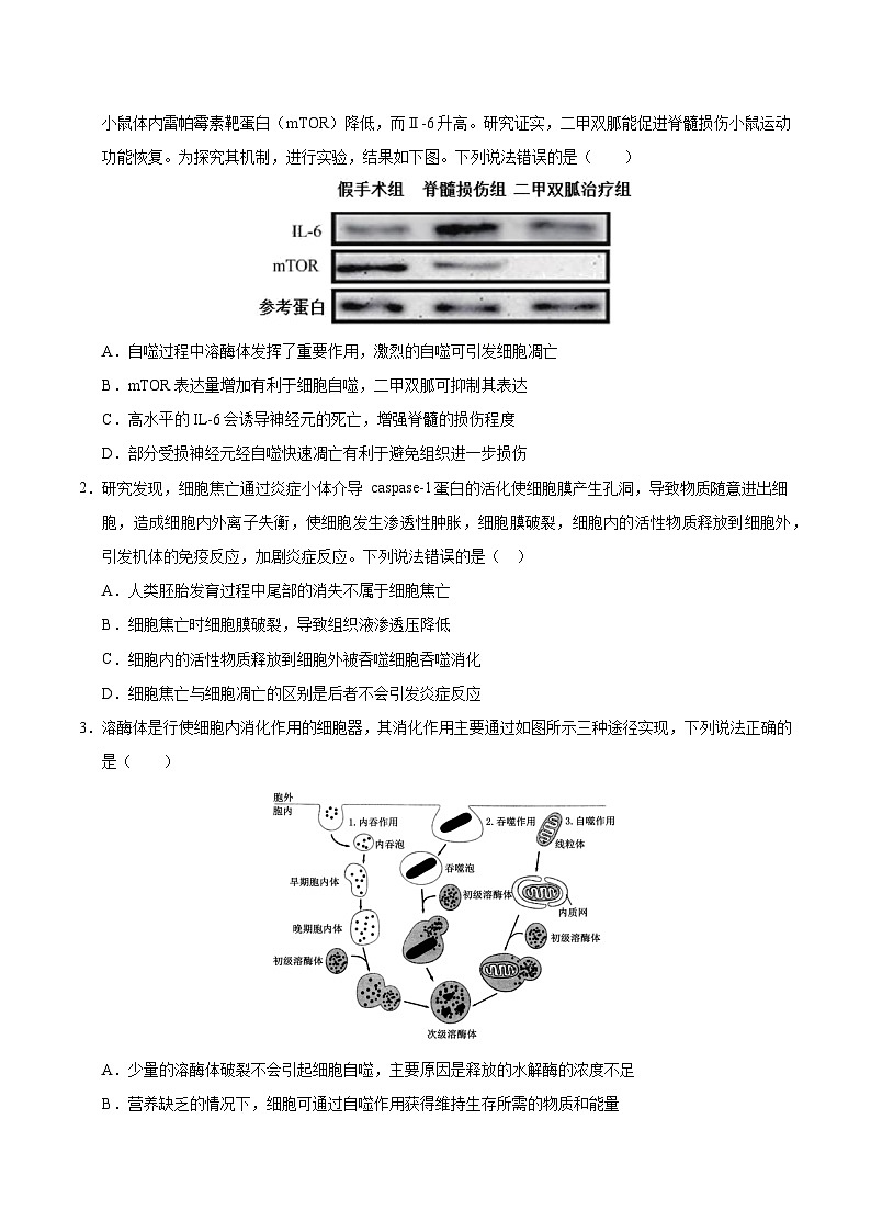 备战2025年高考生物抢押秘籍（山东专用）押题04有丝分裂和减数分裂及染色体异常情况分析（学生版）第2页
