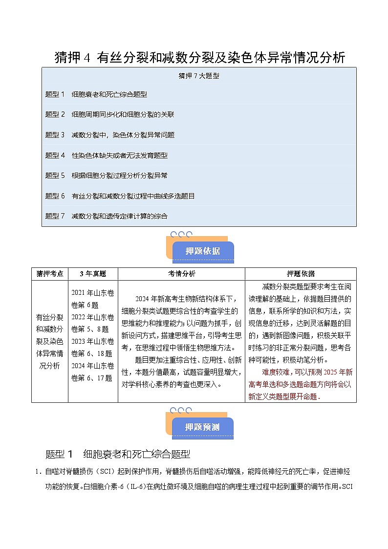 备战2025年高考生物抢押秘籍（山东专用）押题04有丝分裂和减数分裂及染色体异常情况分析（教师版）第1页