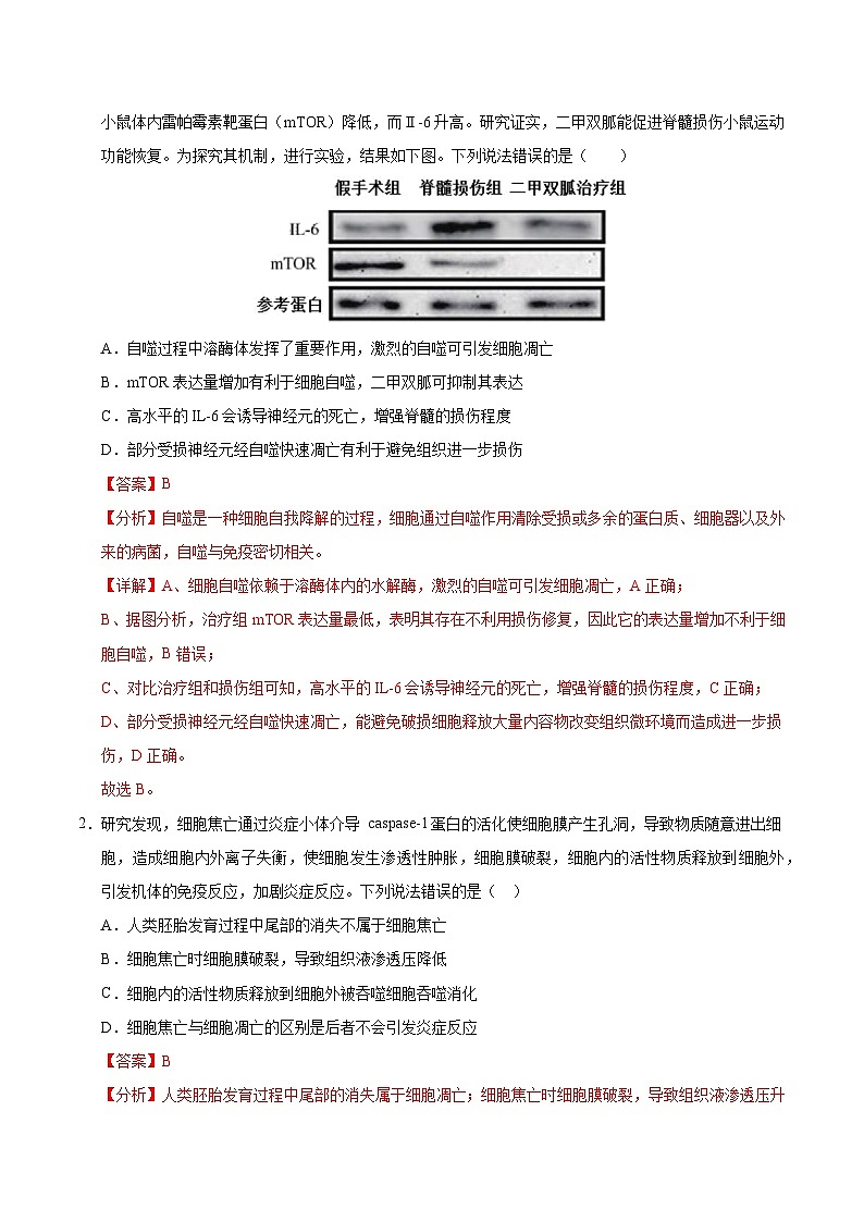 备战2025年高考生物抢押秘籍（山东专用）押题04有丝分裂和减数分裂及染色体异常情况分析（教师版）第2页