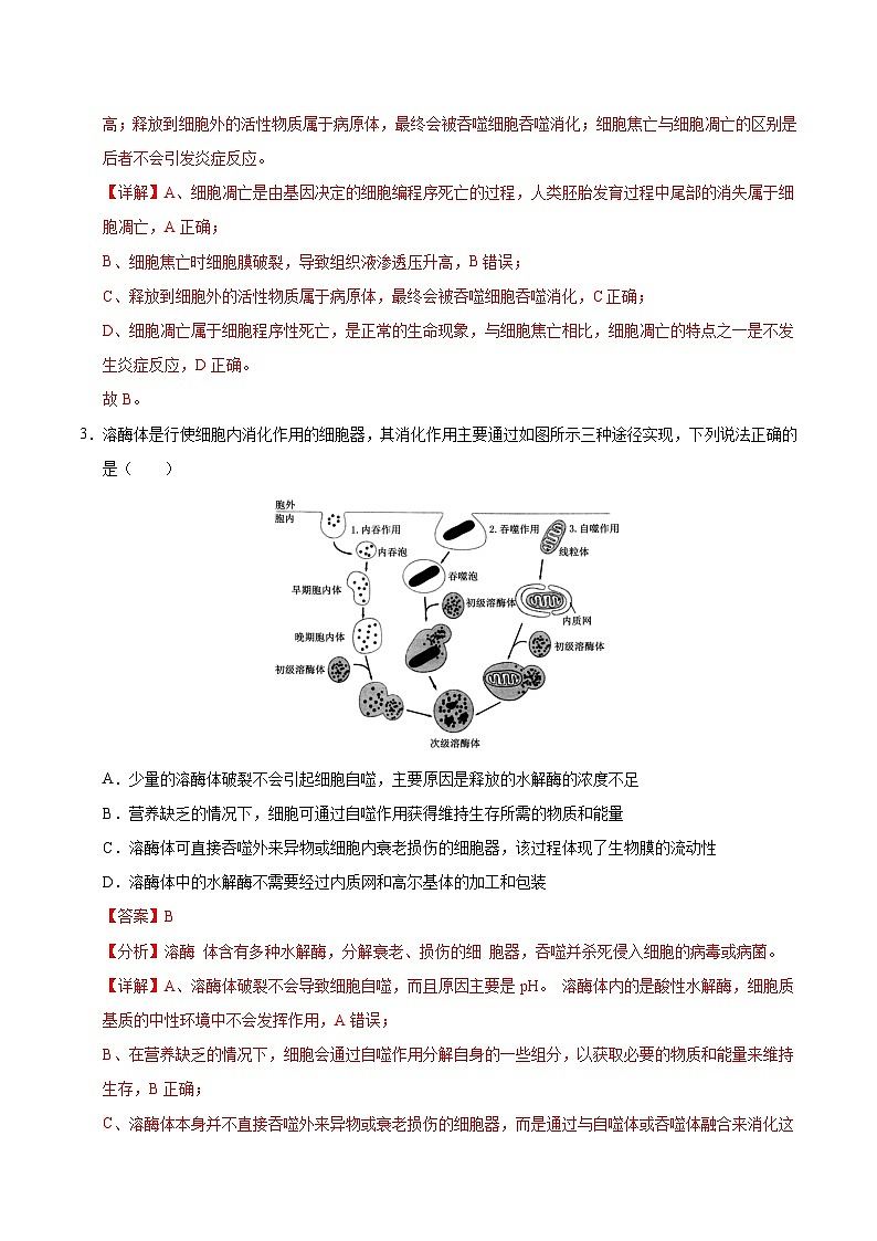 备战2025年高考生物抢押秘籍（山东专用）押题04有丝分裂和减数分裂及染色体异常情况分析（教师版）第3页