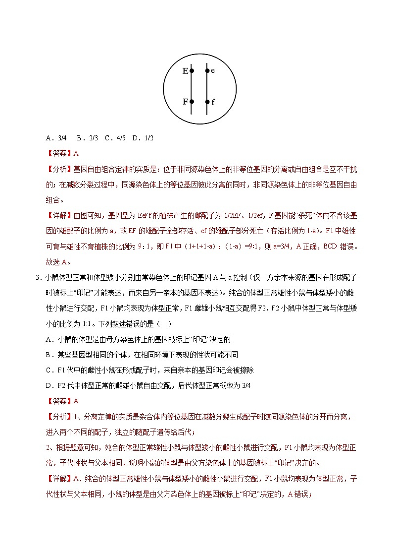 备战2025年高考生物抢押秘籍（山东专用）押题05分离定律和自由组合定律经典常考题型（教师版）第3页