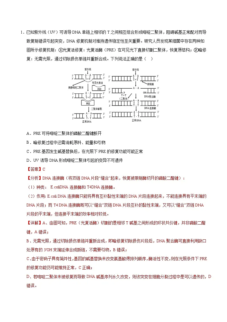 备战2025年高考生物抢押秘籍（山东专用）押题10基因表达与基因工程中关联考题（教师版）第3页