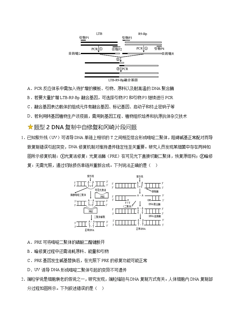 备战2025年高考生物抢押秘籍（山东专用）押题10基因表达与基因工程中关联考题（学生版）第2页