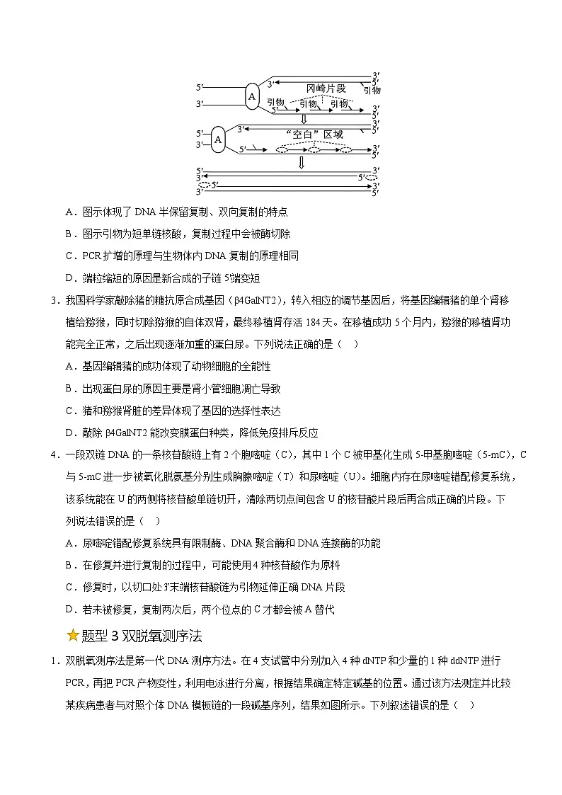 备战2025年高考生物抢押秘籍（山东专用）押题10基因表达与基因工程中关联考题（学生版）第3页