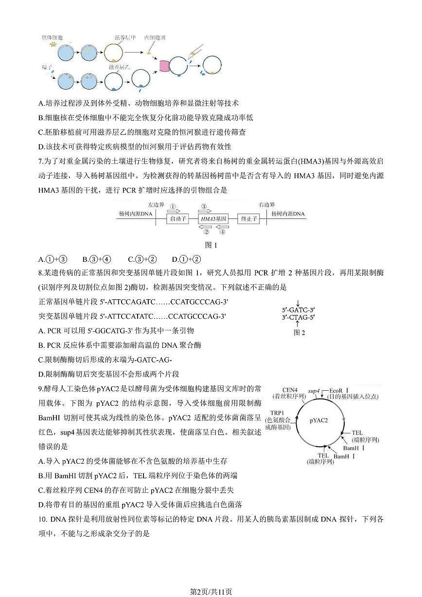2025北京北师大附中高二（下）期中生物（教师版）试卷第2页