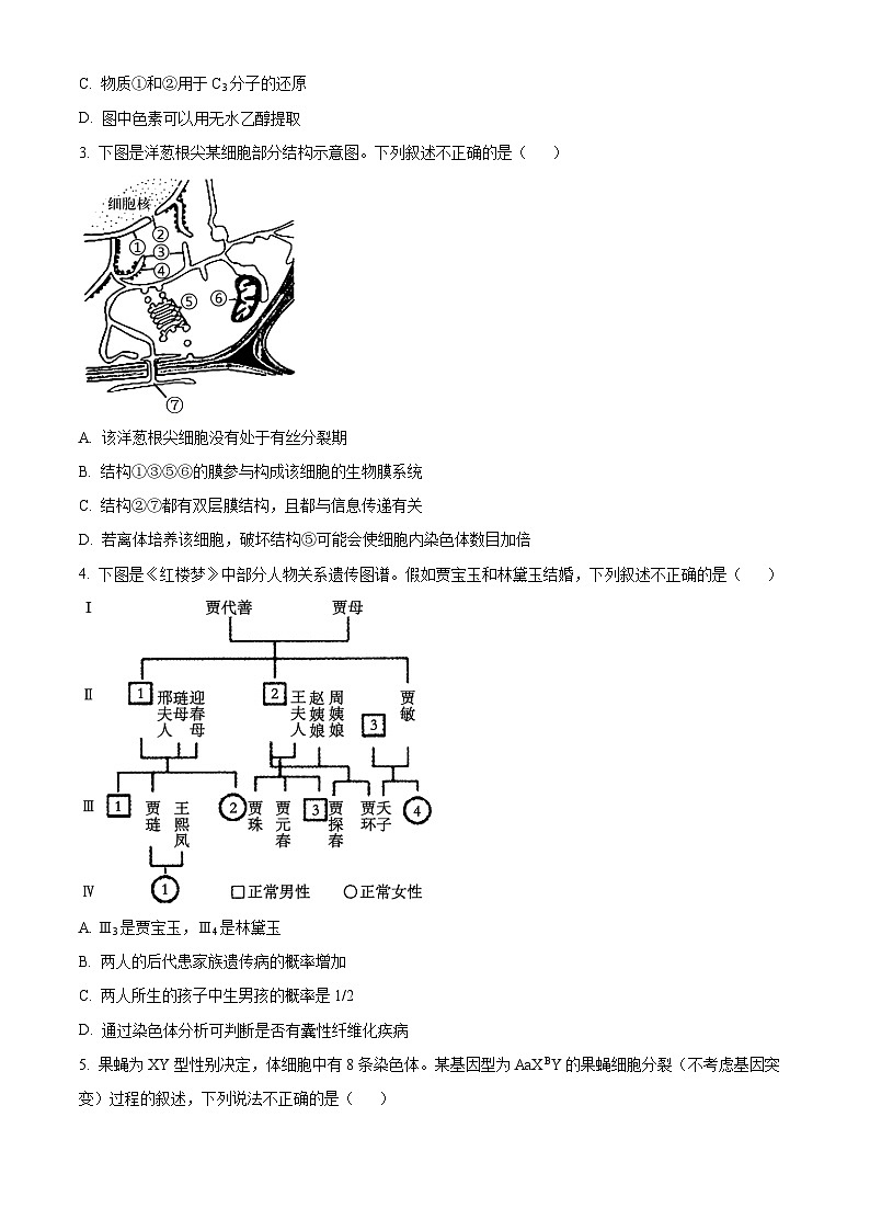 天津市部分区2024-2025学年高三下学期质量调查生物试卷  Word版无答案第2页