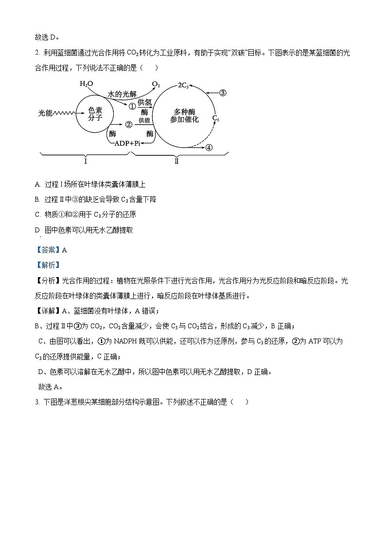 天津市部分区2024-2025学年高三下学期质量调查生物试卷  Word版含解析第2页