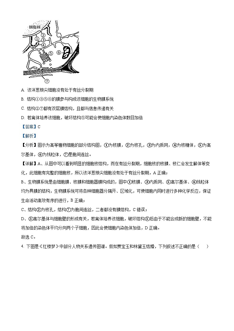 天津市部分区2024-2025学年高三下学期质量调查生物试卷  Word版含解析第3页