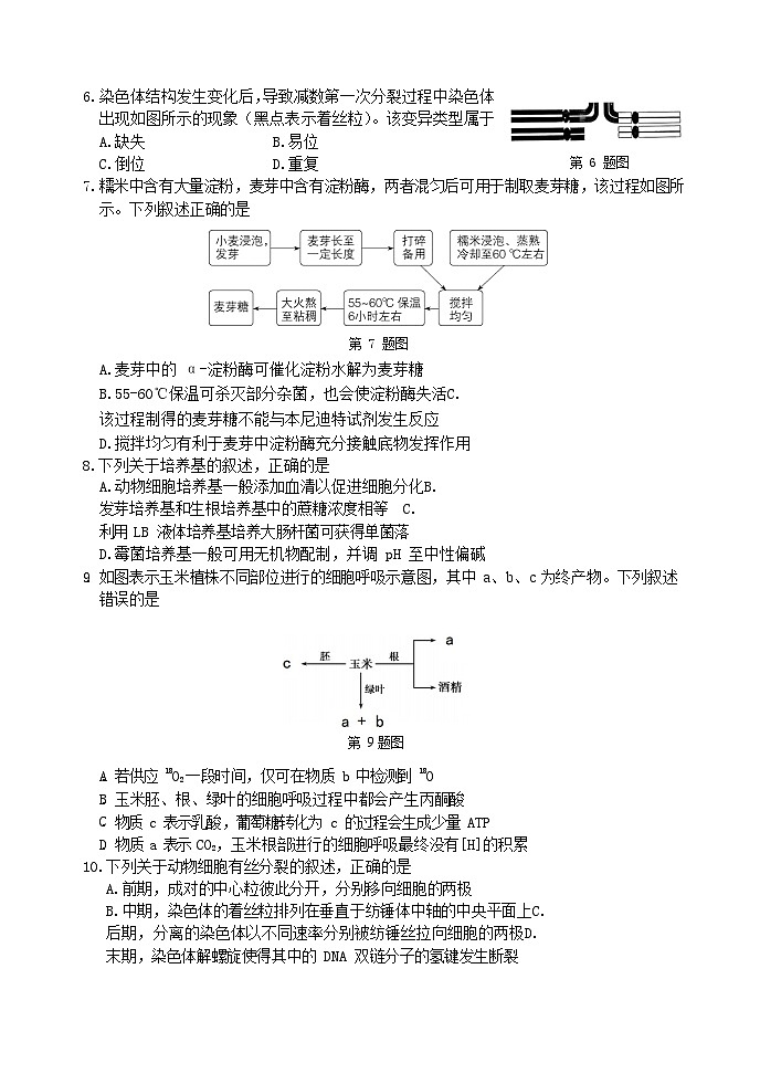 浙江省宁波市2022届高三下学期4月二模考试+生物 含答案第2页