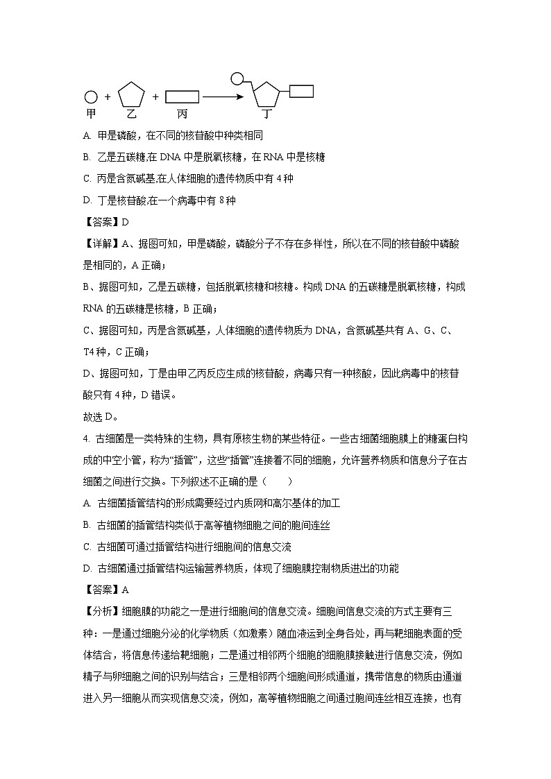 湖北省随州市部分高中2024-2025学年高一下学期3月月考生物试卷（解析版）第3页