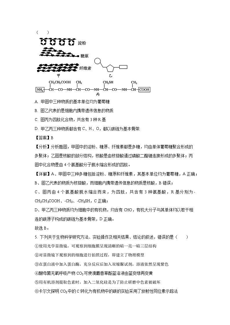 河南省鹤壁市高中2024-2025学年高一下学期摸底考试生物试卷（解析版）第3页