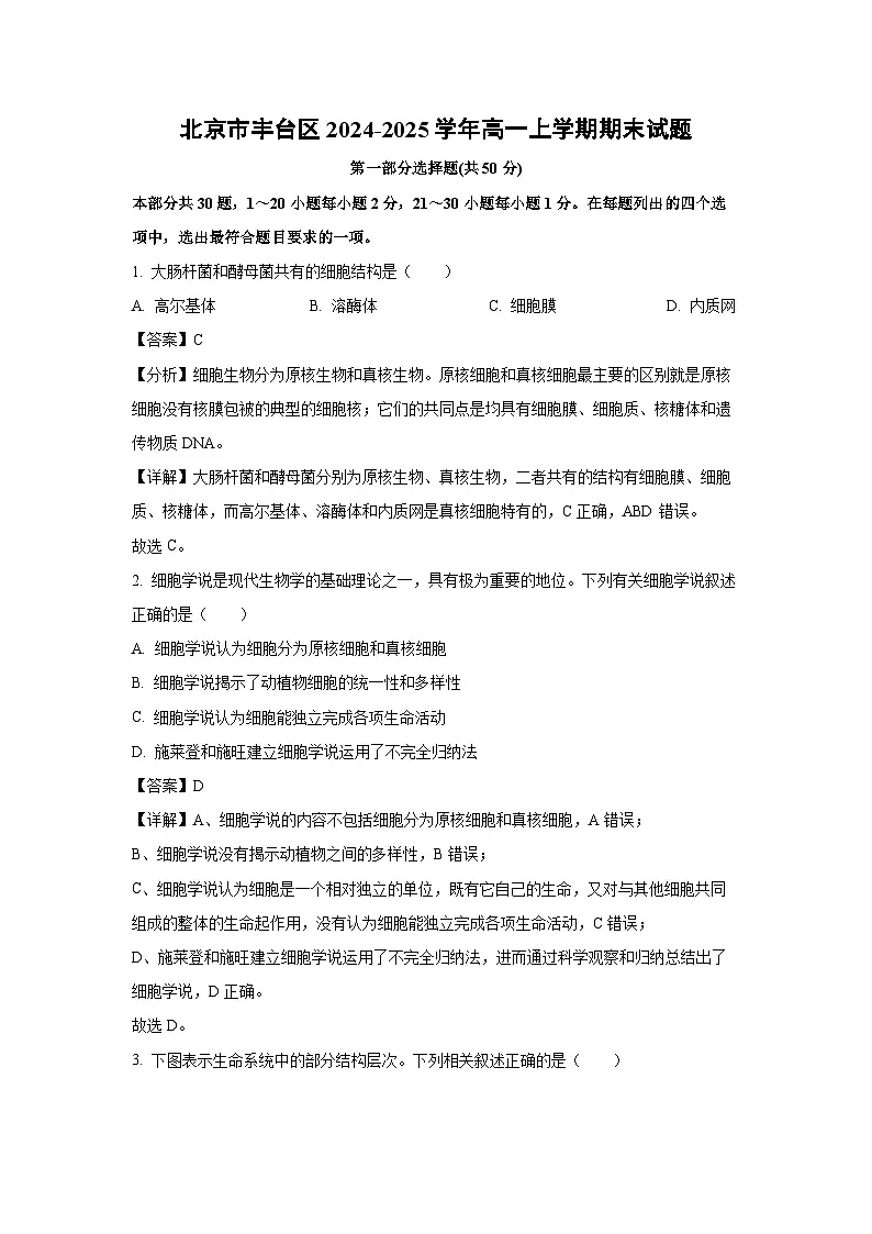 北京市丰台区2024-2025学年高一上学期期末生物试卷（解析版）第1页