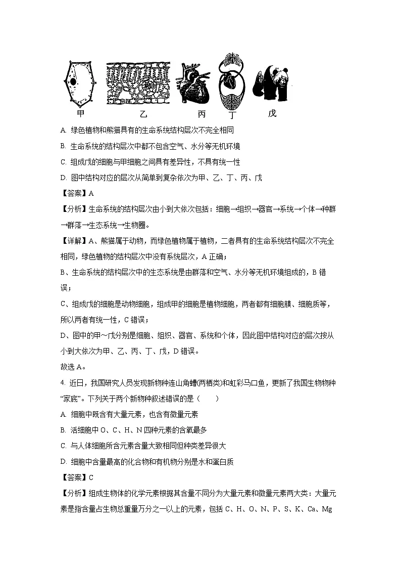 北京市丰台区2024-2025学年高一上学期期末生物试卷（解析版）第2页