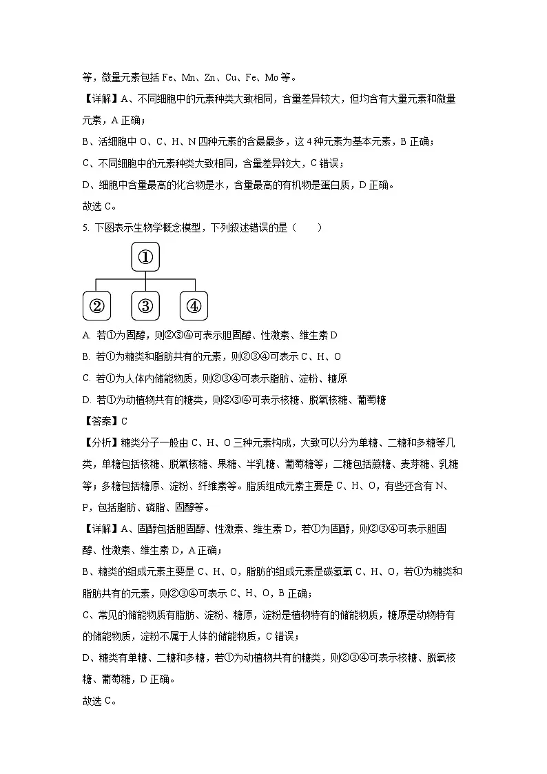 北京市丰台区2024-2025学年高一上学期期末生物试卷（解析版）第3页