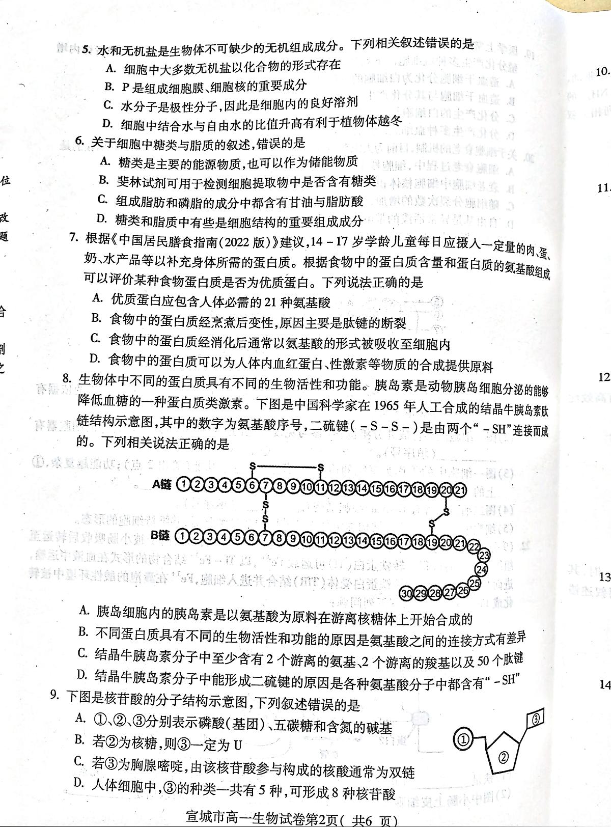 安徽省宣城市2023-2024第一学期高一期末 生物试卷（含答案）第2页