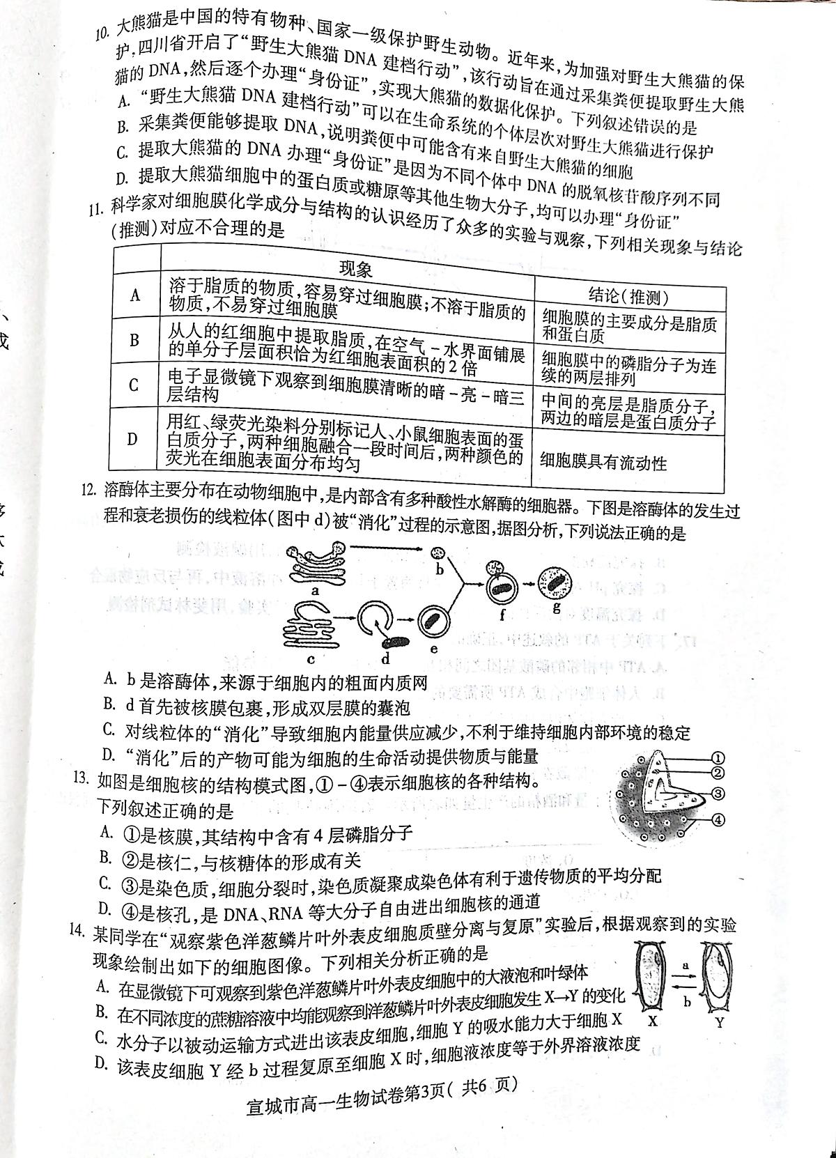 安徽省宣城市2023-2024第一学期高一期末 生物试卷（含答案）第3页