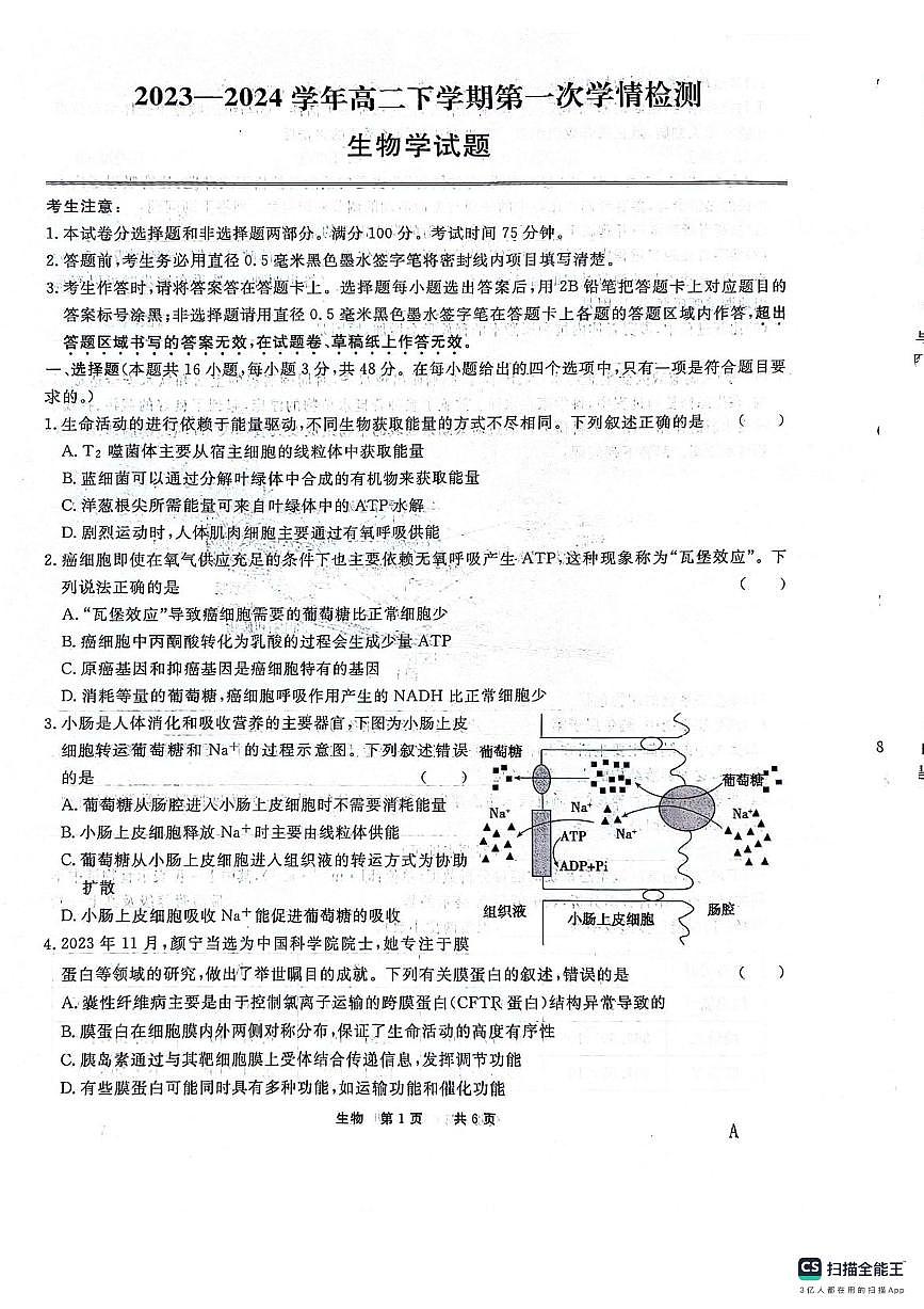 安徽师范大学附属中学2023-2024学年高二下学期第一次学情检测 生物试卷（含答案）第1页
