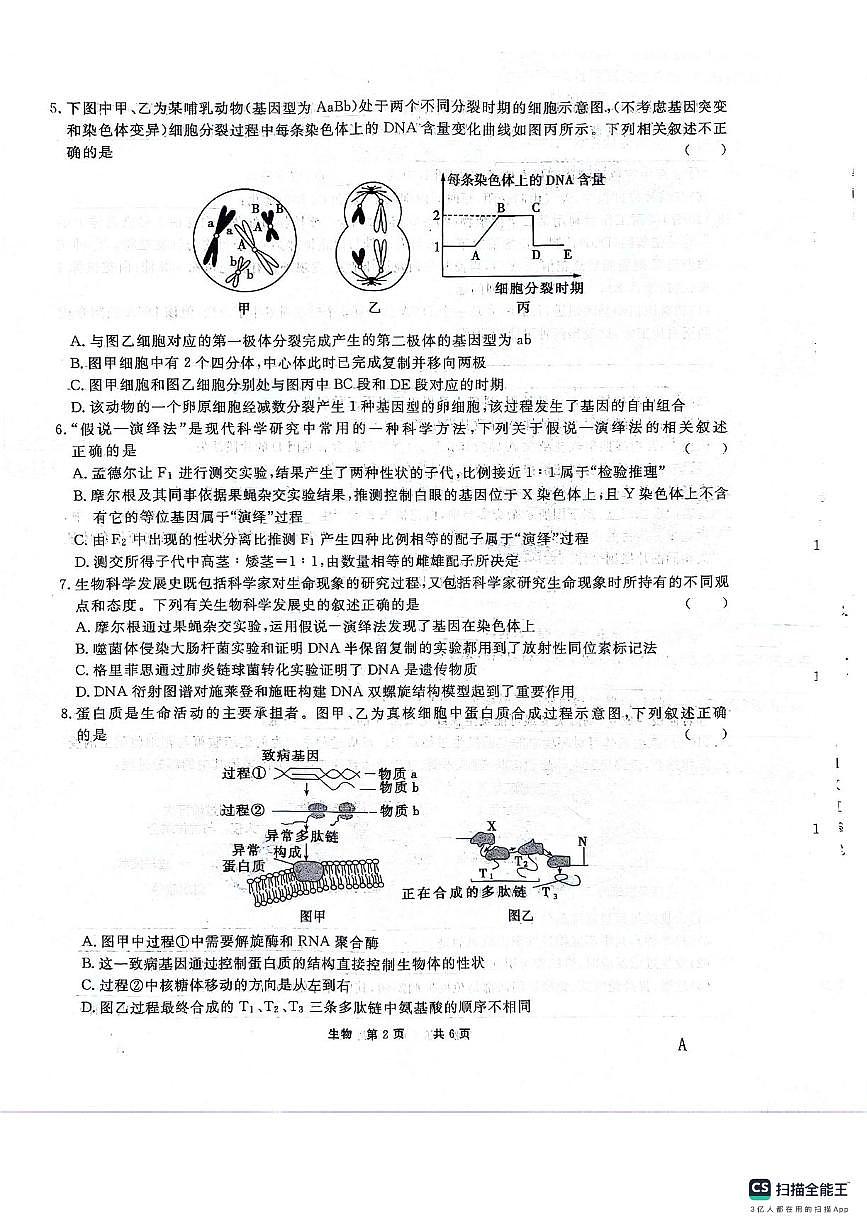 安徽师范大学附属中学2023-2024学年高二下学期第一次学情检测 生物试卷（含答案）第2页