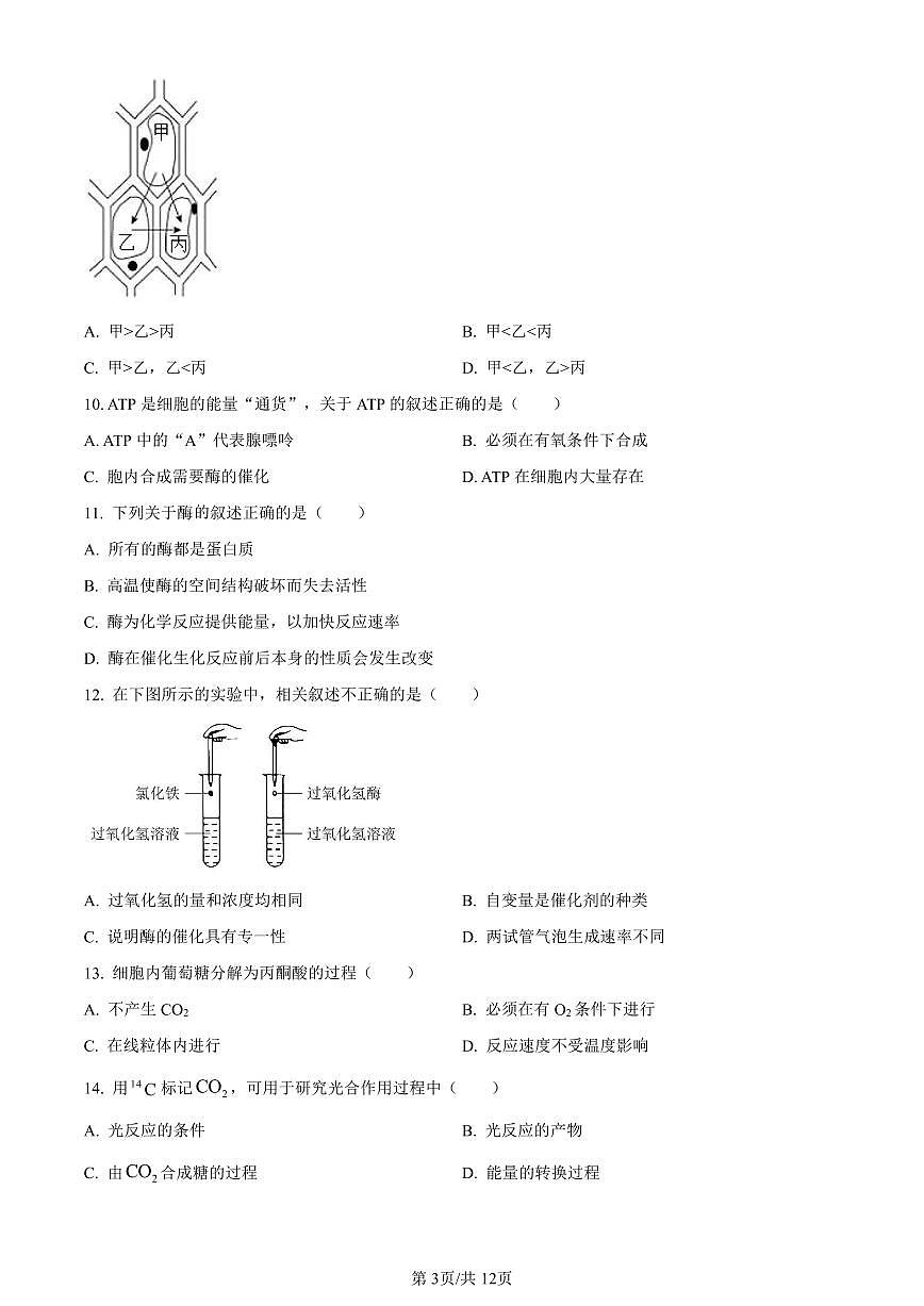 北京市延庆区2023-2024学年高一1月期末生物试卷（含答案）第3页
