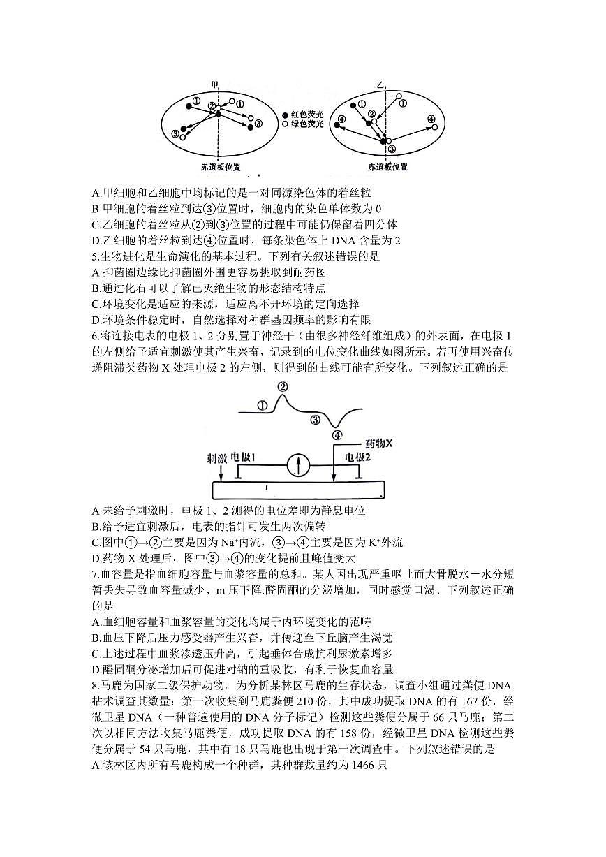 福建省百校联考2023-2024学年高三下学期2月联考 生物试卷（含答案）第2页