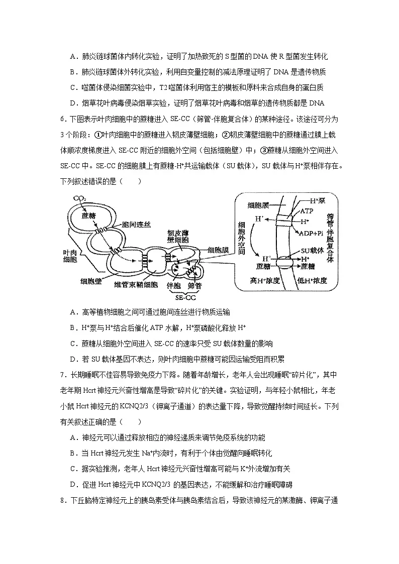 四川省内江市2024-2025学年高三下学期第三次模拟考试生物试题（无答案）第2页