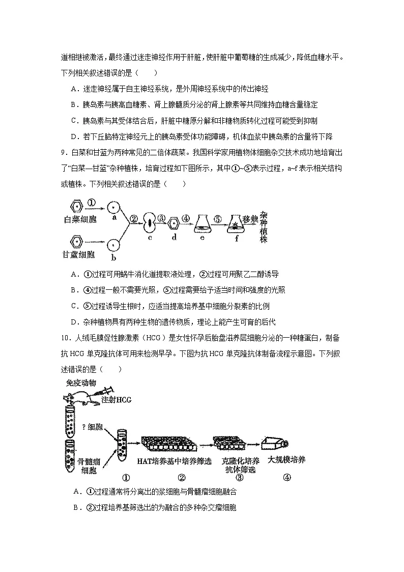 四川省内江市2024-2025学年高三下学期第三次模拟考试生物试题（无答案）第3页