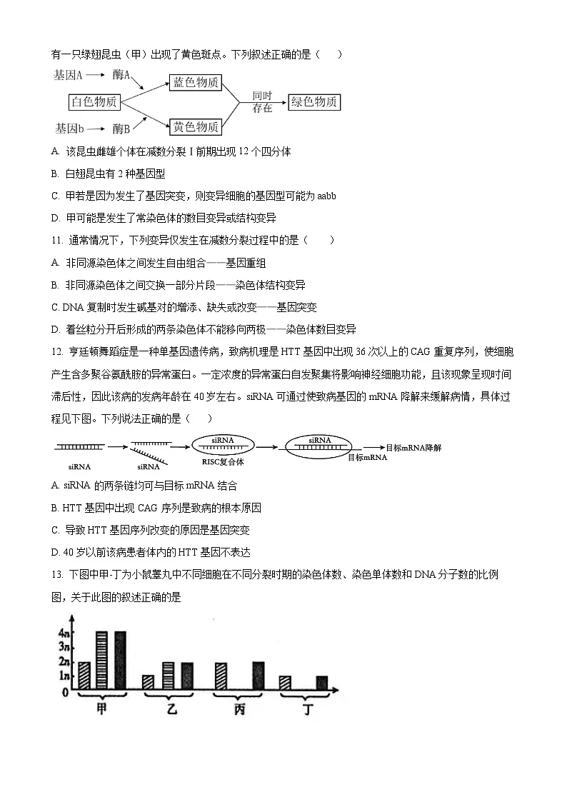 2025届河北省沧州市运东五校二模生物试题 Word版无答案第3页