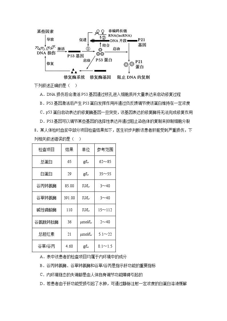 2025届安徽省皖南八校高三下学期第三次联考生物试卷（附答案解析）第3页